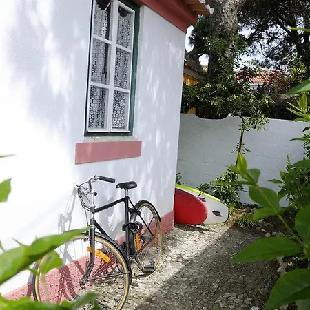 Getwet Surfcamp Ii *